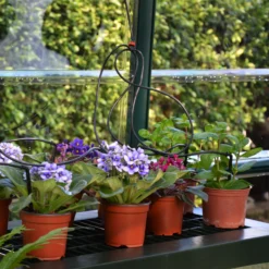 Rion Grand Gardner Green 8x8 Greenhouse -Gardens and Outdoor rion grand gardner green 8x8 greenhouse7290103121570 38c