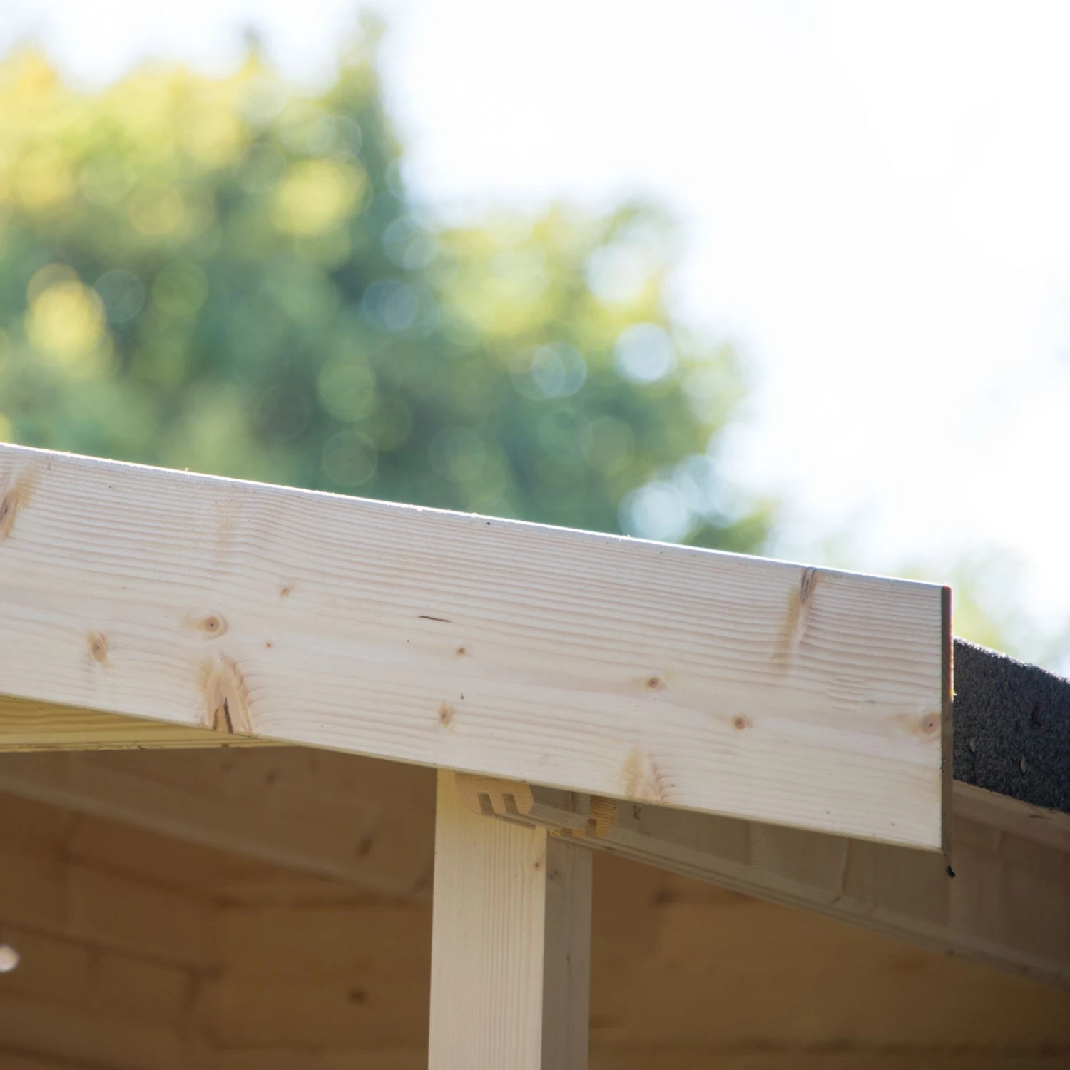 Shire Twyford 16x17 Glass Apex Tongue & Groove Wooden Cabin - Base Not Included 15 Shire Twyford 16x17 Glass Apex Tongue & Groove Wooden Cabin - Base Not Included - Image 13