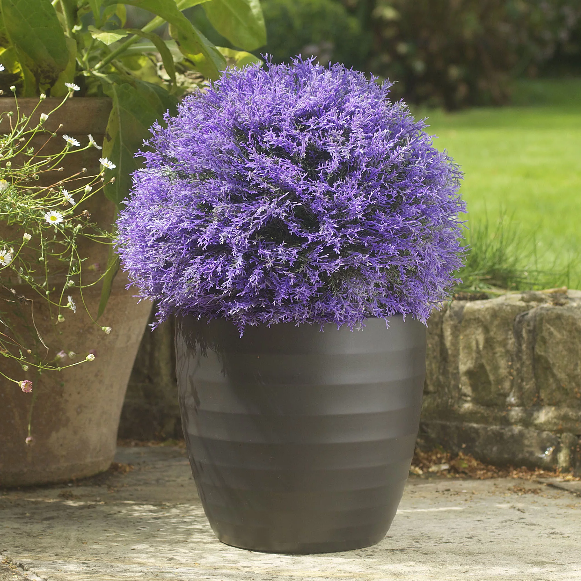 Smart Garden Hazepurple Artificial Topiary Ball 4 Smart Garden Hazepurple Artificial Topiary Ball - Image 2