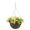 Smart Garden Petunia Artificial Green Round Plastic Hanging Basket, 25cm 1 Smart Garden Petunia Artificial Green Round Plastic Hanging Basket, 25cm -Gardens and Outdoor smart garden petunia artificial green round plastic hanging basket 25cm5050642019187 02c bq