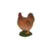 Terrastyle Brown, White Resin Hen Garden Ornament (H)27.5cm 2 Terrastyle Brown, White Resin Hen Garden Ornament (H)27.5cm -Gardens and Outdoor terrastyle brown white resin hen garden ornament h 27 5cm5021346522167 01c