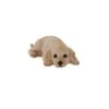 Terrastyle Cream Resin Labrador Puppy Garden Ornament (H)9cm -Gardens and Outdoor terrastyle cream resin labrador puppy garden ornament h 9cm5021346522129 01c