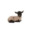 Terrastyle White, Black Resin Lamb Garden Ornament (H)19.5cm -Gardens and Outdoor terrastyle white black resin lamb garden ornament h 19 5cm5021346522242 01c