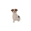 Terrastyle White, Brown Resin Terrier Puppy Garden Ornament (H)25.2cm 1 Terrastyle White, Brown Resin Terrier Puppy Garden Ornament (H)25.2cm -Gardens and Outdoor terrastyle white brown resin terrier puppy garden ornament h 25 2cm5021346522099 01c