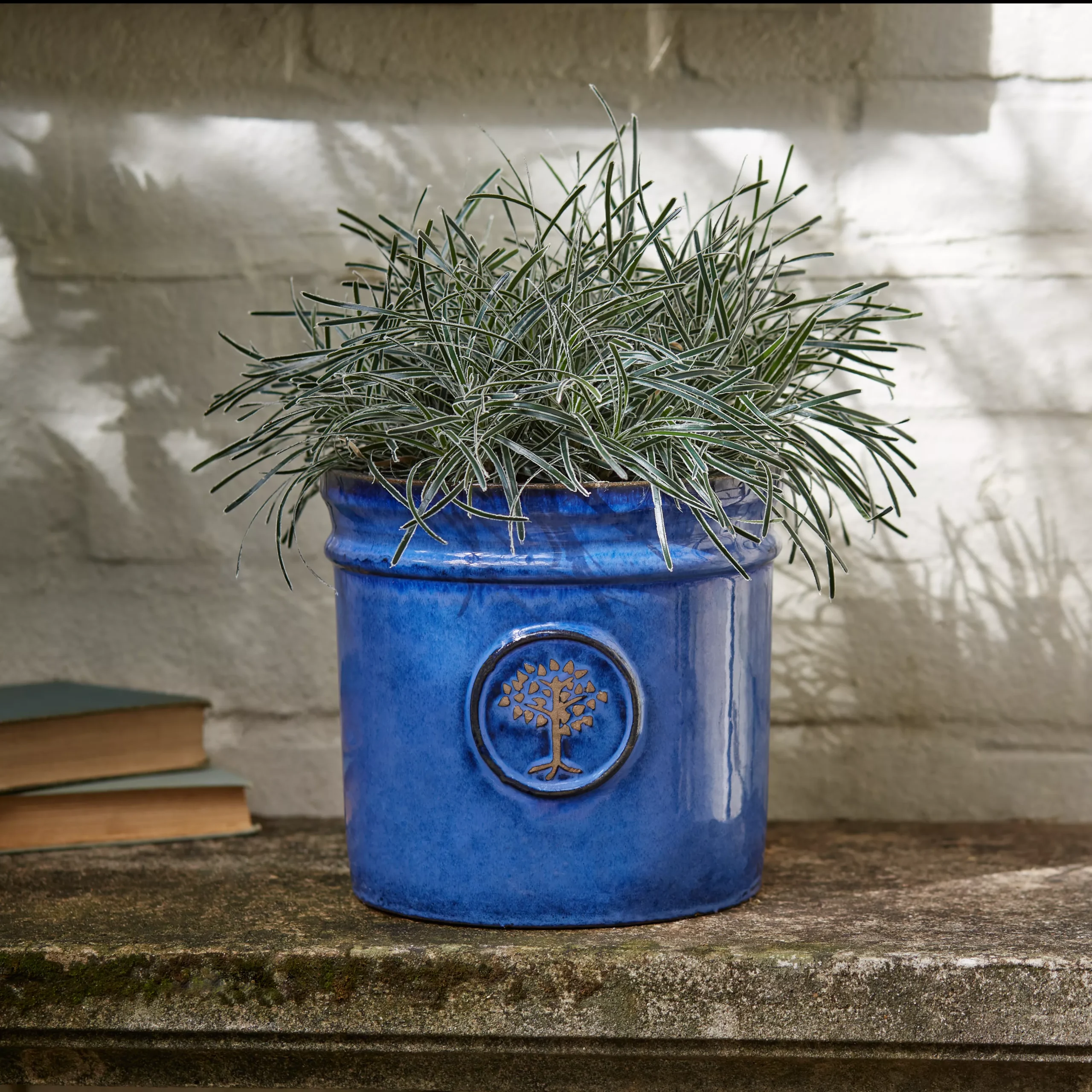 Verve Barcău Blue Ceramic Round Plant Pot (Dia)20cm 5 Verve Barcău Blue Ceramic Round Plant Pot (Dia)20cm - Image 3