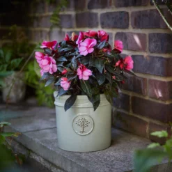 Verve Barcău Olive Ceramic Circular Plant Pot (Dia)20cm 7 Verve Barcău Olive Ceramic Circular Plant Pot (Dia)20cm -Gardens and Outdoor verve barcau olive ceramic circular plant pot dia 20cm5059340327747 01i