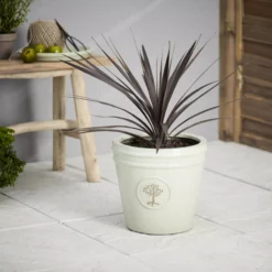 Verve Barcău Olive Ceramic Circular Plant Pot (Dia)32cm 7 Verve Barcău Olive Ceramic Circular Plant Pot (Dia)32cm -Gardens and Outdoor verve barcau olive ceramic circular plant pot dia 32cm5059340327785 01i