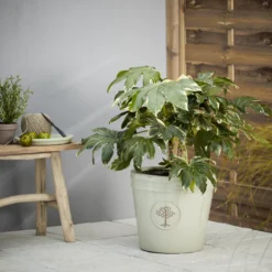 Verve Barcău Olive Ceramic Circular Plant Pot (Dia)40cm -Gardens and Outdoor verve barcau olive ceramic circular plant pot dia 40cm5059340327761 01i