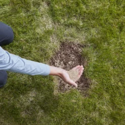 Verve Easy Start Coated Grass Seeds, 1.5kg -Gardens and Outdoor verve easy start coated grass seeds 1 5kg3663602947493 03i