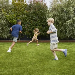 Verve Family & Sports Grass Seeds, 1.5kg -Gardens and Outdoor verve family sports grass seeds 1 5kg3663602947516 01i