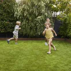 Verve Family & Sports Grass Seeds, 10kg 15 Verve Family & Sports Grass Seeds, 10kg -Gardens and Outdoor verve family sports grass seeds 10kg3663602947516 02i