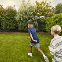 Verve Family & Sports Grass Seeds, 10kg 16 Verve Family & Sports Grass Seeds, 10kg -Gardens and Outdoor verve family sports grass seeds 10kg3663602947516 03i