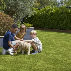 Verve Family & Sports Grass Seeds, 10kg 17 Verve Family & Sports Grass Seeds, 10kg -Gardens and Outdoor verve family sports grass seeds 10kg3663602947516 04i