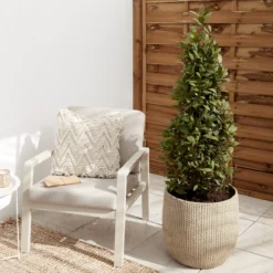 Verve Kulun Beige Knitted Effect Fibreclay Circular Plant Pot (Dia)46cm -Gardens and Outdoor verve kulun beige knitted effect fibreclay circular plant pot dia 46cm5059340327679 01i