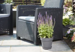 Verve Nurgul Peyote Rectangular Trough -Gardens and Outdoor verve nurgul peyote rectangular trough5059340387949 22c