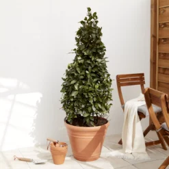 Verve Piave Terracotta Polypropylene (PP) Round Plant Pot (Dia)45cm -Gardens and Outdoor verve piave terracotta polypropylene pp round plant pot dia 45cm5059340327822 01i