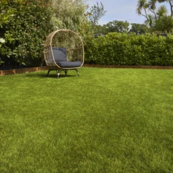 Verve Sunny Grass Seeds, 5kg 8 Verve Sunny Grass Seeds, 5kg -Gardens and Outdoor verve sunny grass seeds 5kg3663602947578 01i