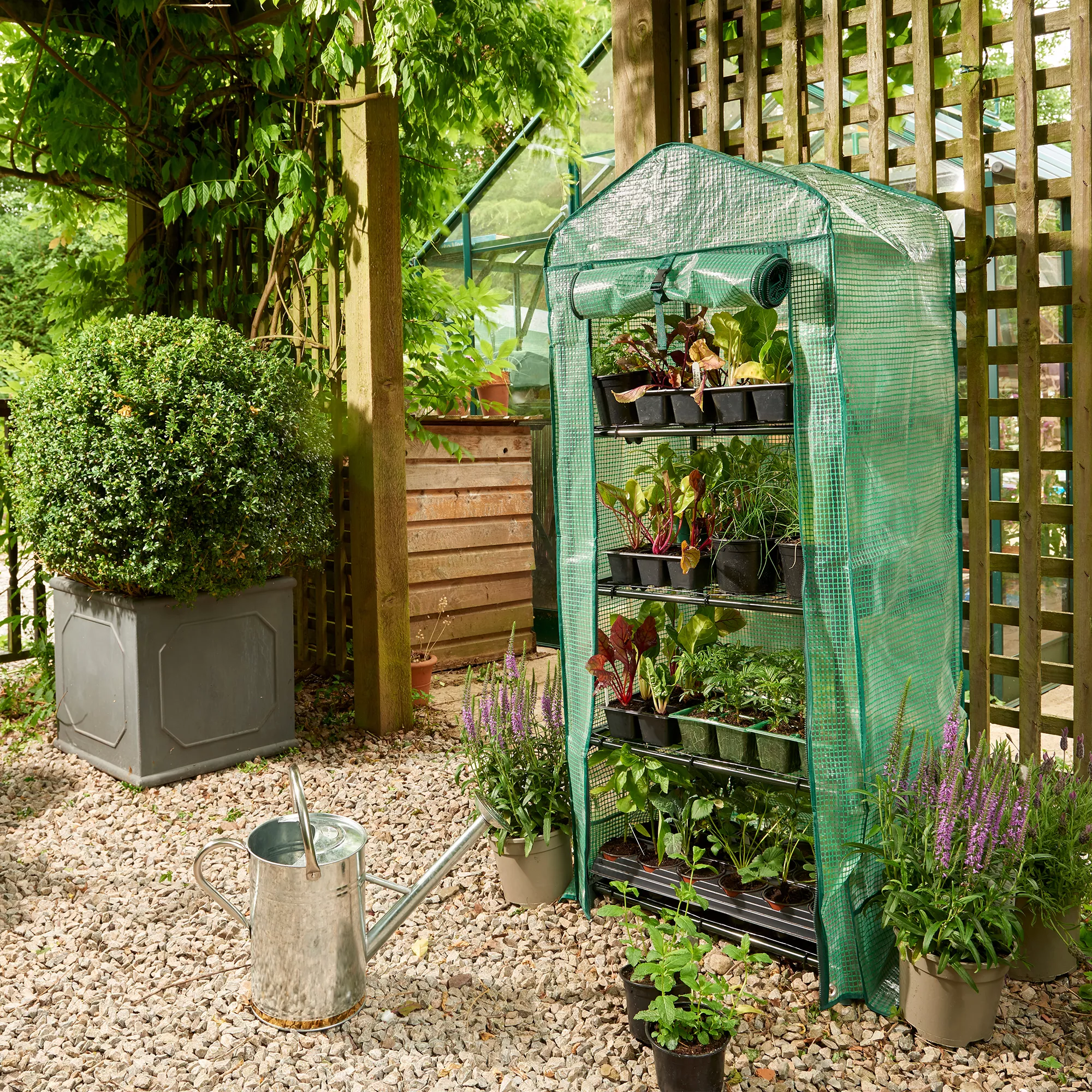 Westland Plastic Grow It Premium 4 Tier Compact Growhouse 3 Westland Plastic Grow It Premium 4 Tier Compact Growhouse