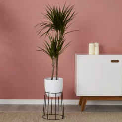 White Ceramic Round Plant Pot (Dia)21.5cm -Gardens and Outdoor white ceramic round plant pot dia 21 5cm3663602440826 01i bq